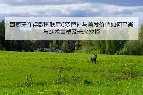 pu-tao-ya-duo-de-ou-guo-lian-hou-luo-ti-bu-yu-shou-fa-jia-zhi-ru-he-ping-heng-yu-zhan-shu-zhong-su-ji-wei-lai-jue-ze-2-110.jpg